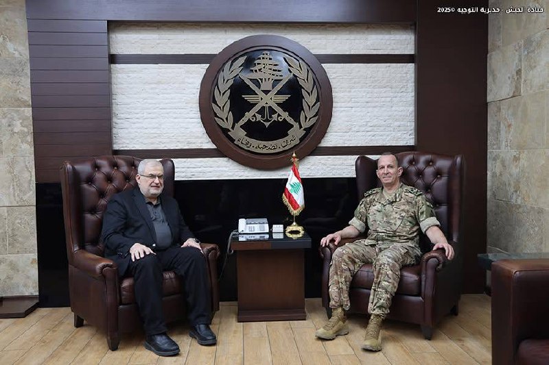 photo_5976508969218329284_x